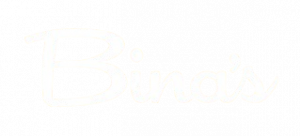 bina_s-removebg-preview
